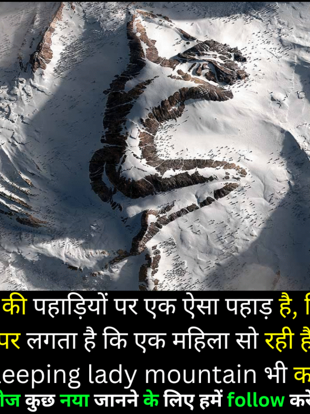यहाँ कुछ नए और मजेदार रोचक तथ्य पेश हैं